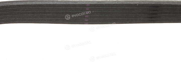 Gates 6PK1823XS