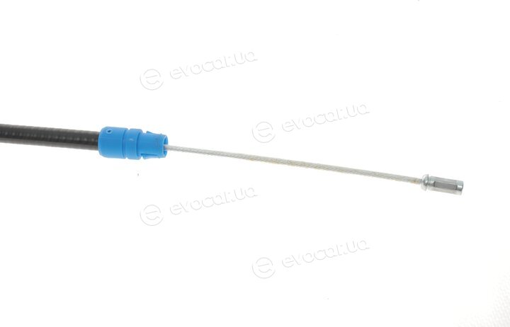 DP BC 24006 TUR