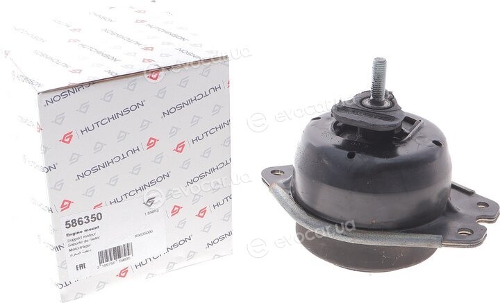 Hutchinson 586350