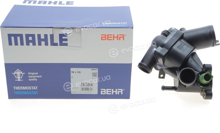 Mahle TM 4 109
