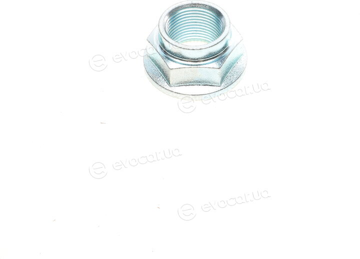 Blue Print ADM58247