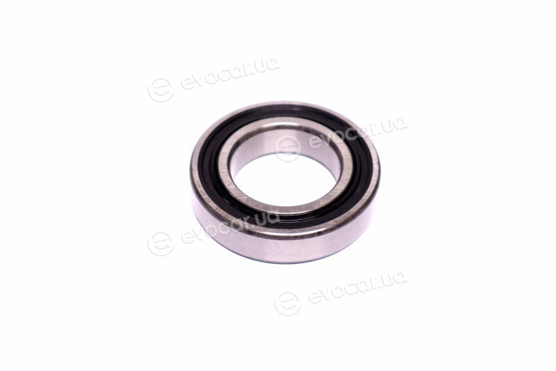 SKF 6007-2RS1