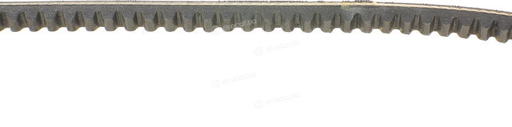 Continental AVX10X1013