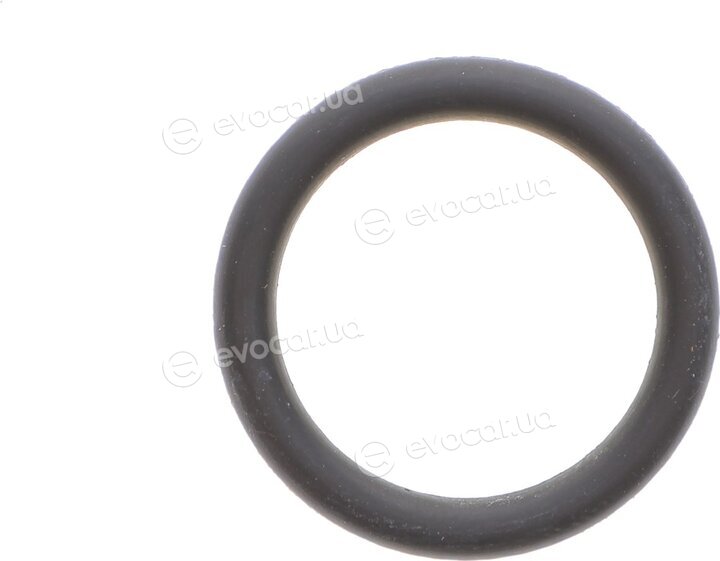Elring 424.790