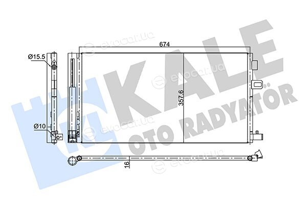 Kale 350675