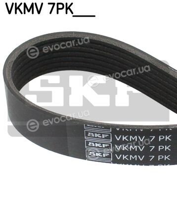SKF VKMV 7PK2195