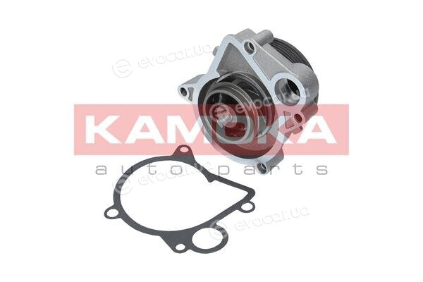 Kamoka T0061