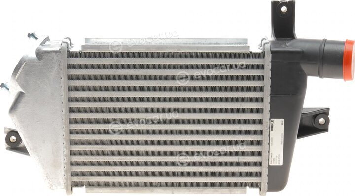 Mahle CI 697 000S