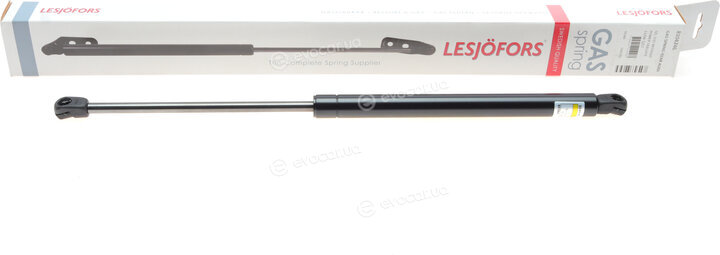 Lesjofors 8104246