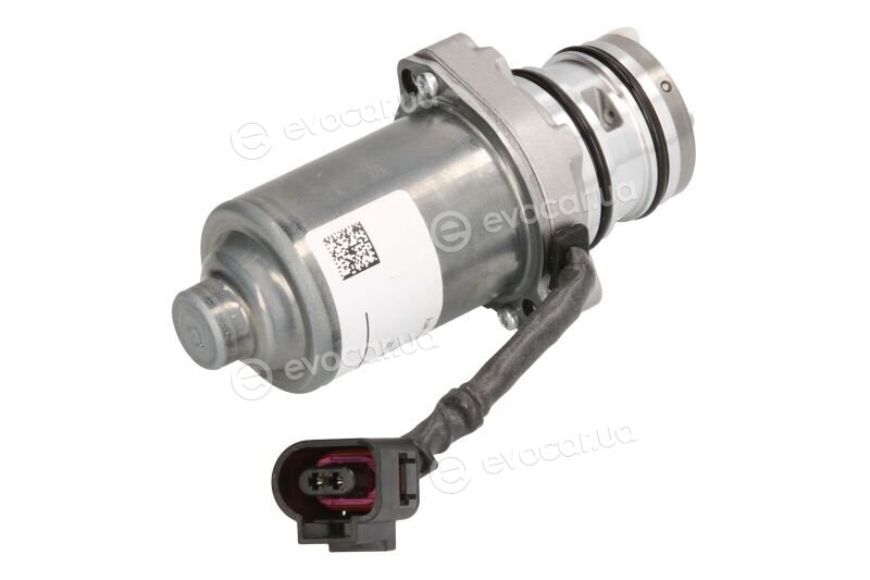 BorgWarner DS119863