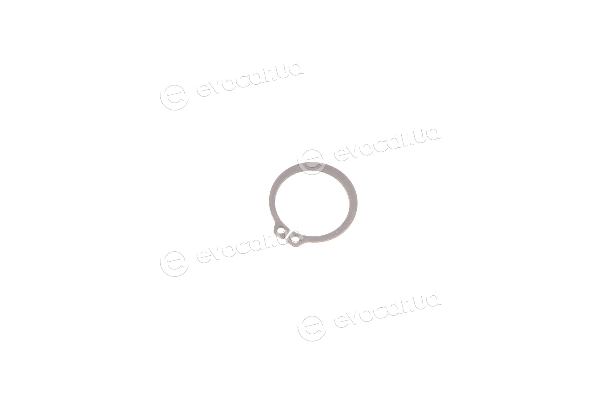 Metelli 16-1012
