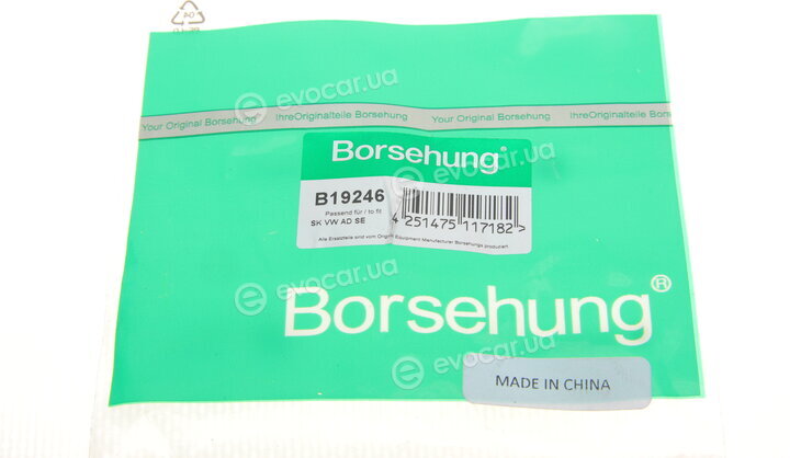 Borsehung B19246