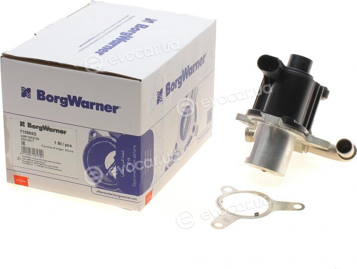 Wahler / BorgWarner 710965D