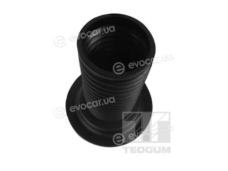 Tedgum 679057