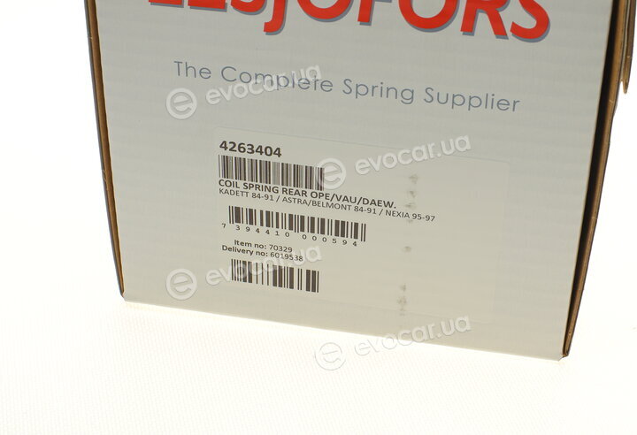 Lesjofors 4263404