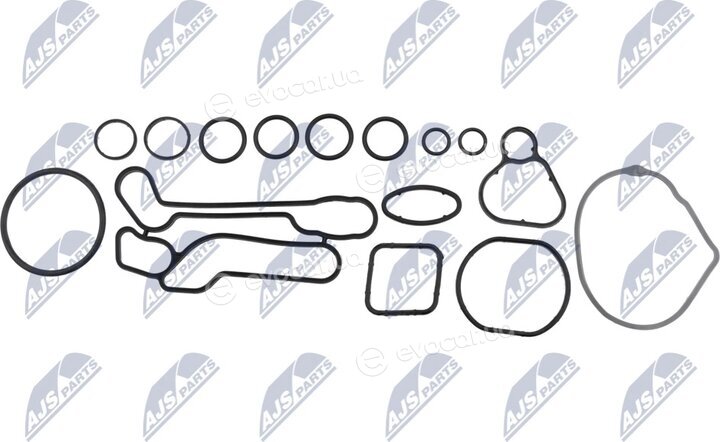 NTY CCL-PL-018