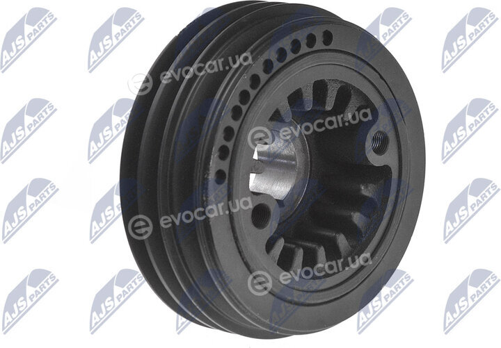 NTY RKP-MS-015