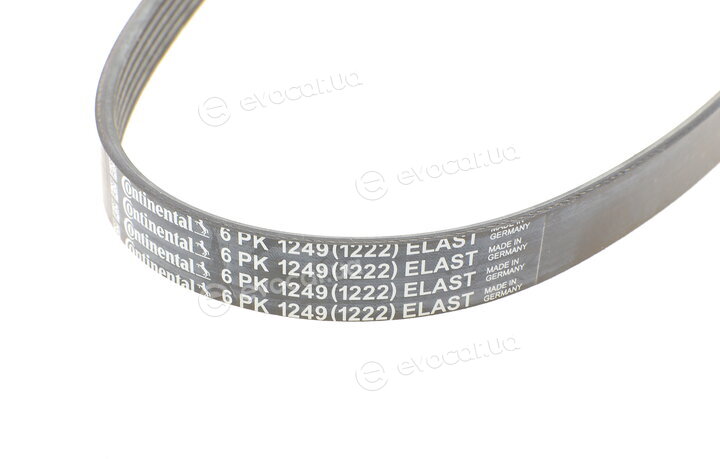 Continental 6PK1249 ELAST