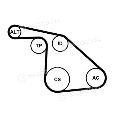 Continental 6PK1038K1