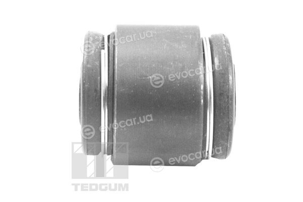 Tedgum TED48244