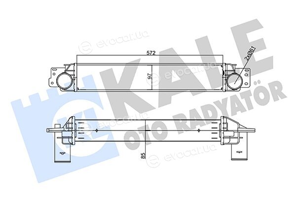 Kale 356235