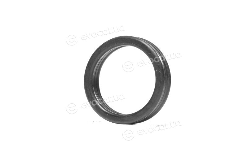 Elring 331.270