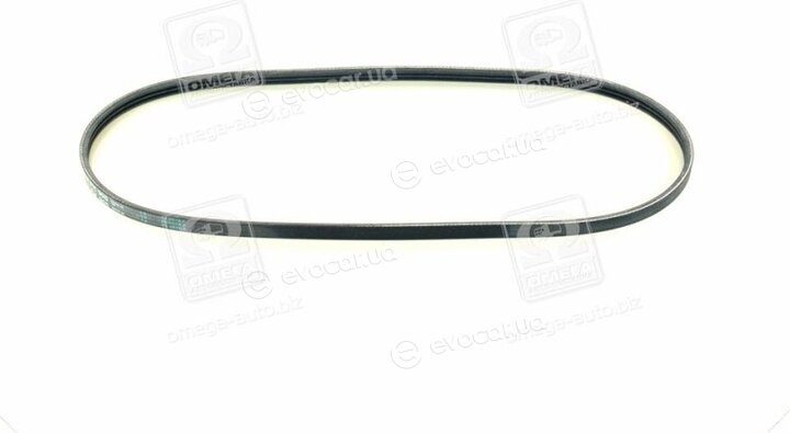 Continental 3PK905