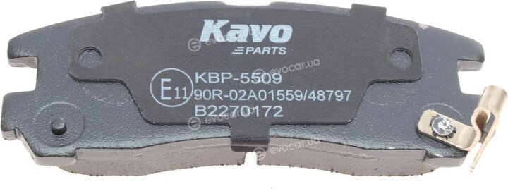 Kavo KBP-5509