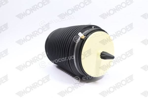 Monroe ASP019