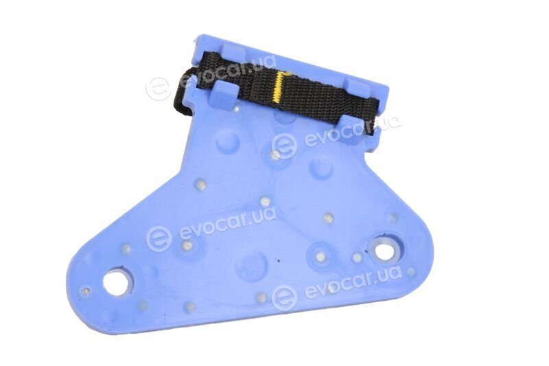 Sasic 2950025