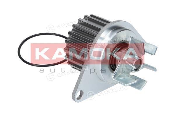 Kamoka T0078