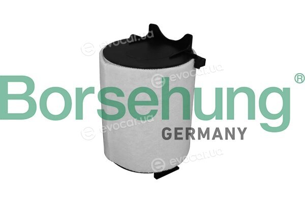Borsehung B10536