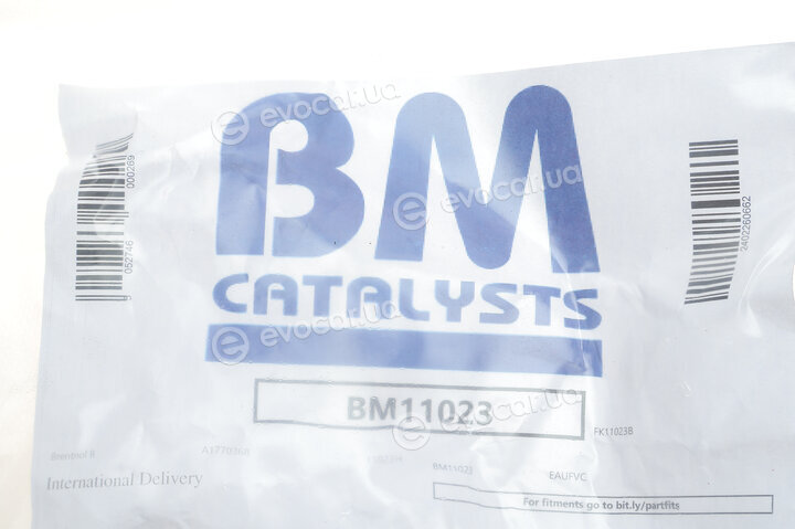 BM Catalysts BM11023