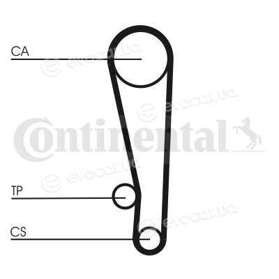 Continental CT1013