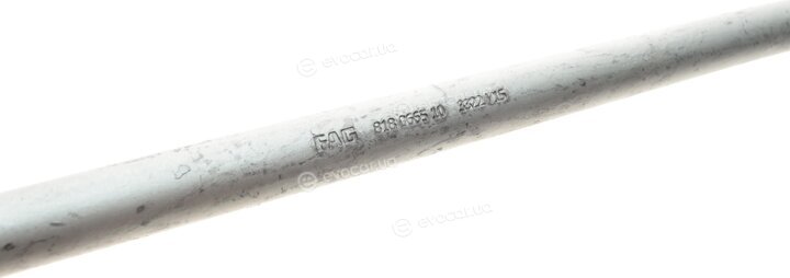 FAG 818 0665 10