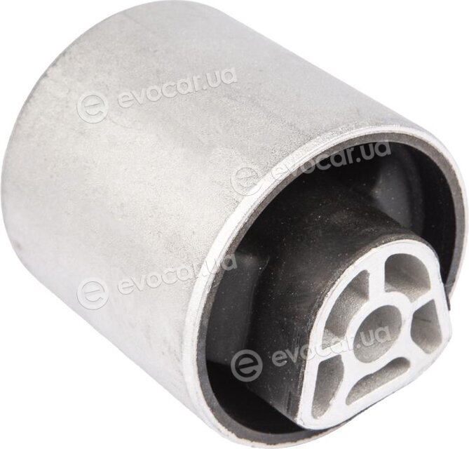 Raiso RL311693B