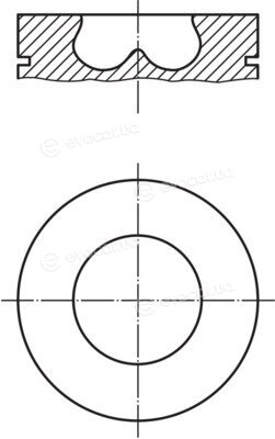 Mahle 013 PI 00107 002