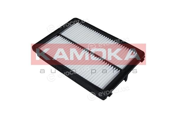 Kamoka F238901