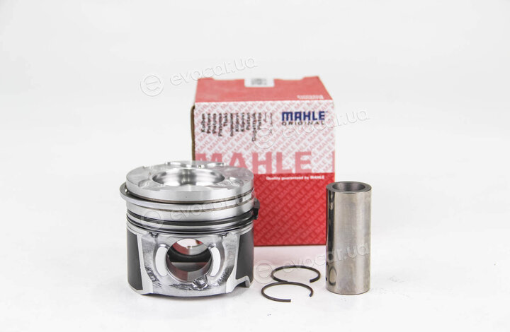 Mahle 040 06 30