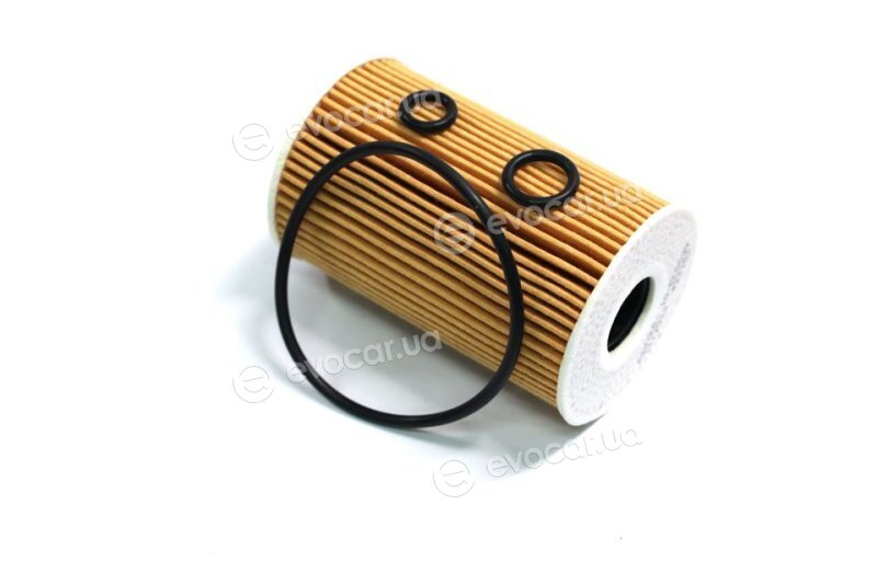 Ashika 10-ECO098