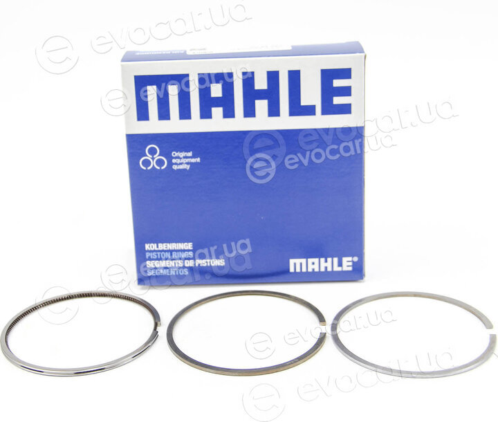 Mahle 030 55 N0