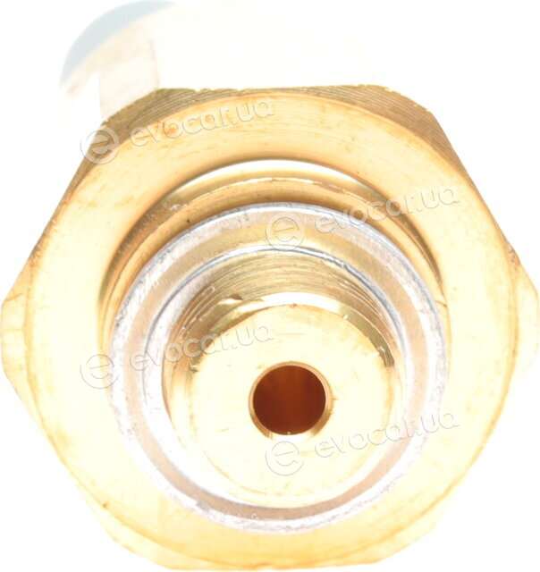 Borsehung B13135