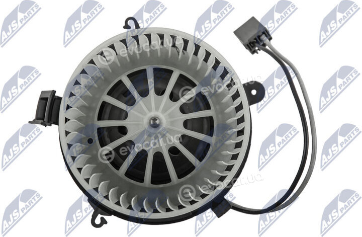NTY EWN-PL-002