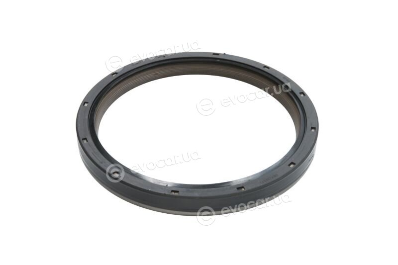 Elring 503.209