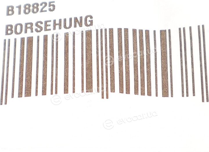 Borsehung B18825