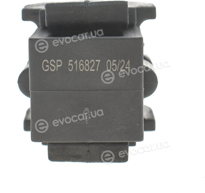GSP 516827
