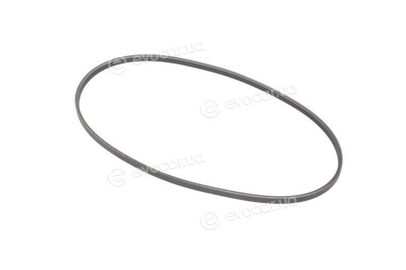 Continental 3PK960