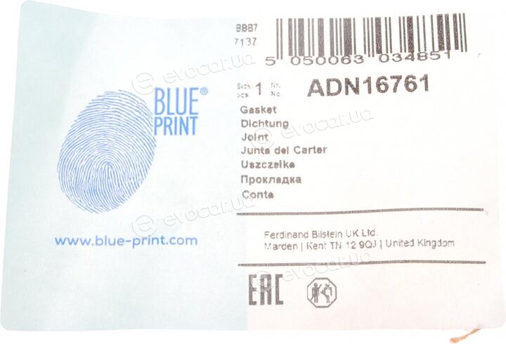 Blue Print ADN16761