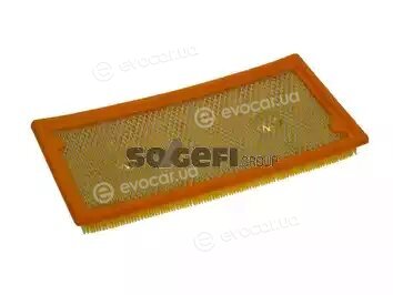 Coopers Fiaam PA7599