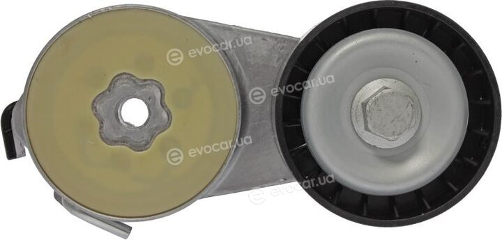 Starline RS D06910